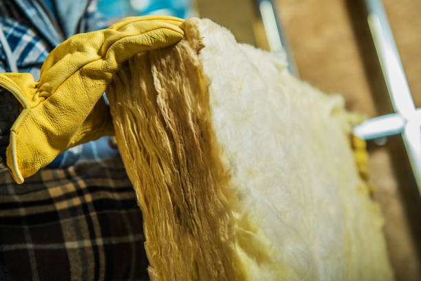 Best Insulation Installation Services in Juno Beach, FL
