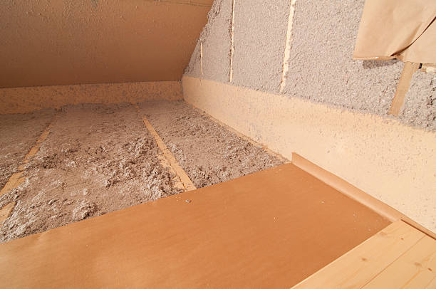 Best Types of Insulation in Juno Beach, FL